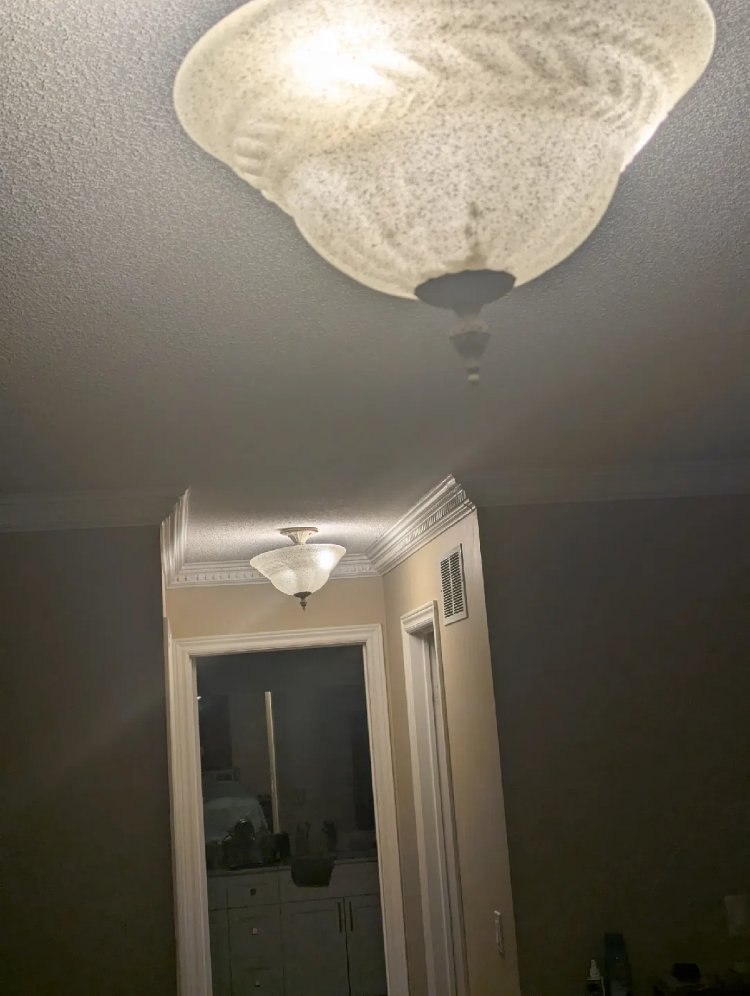 Ceiling Light Fixture image indicator(4)