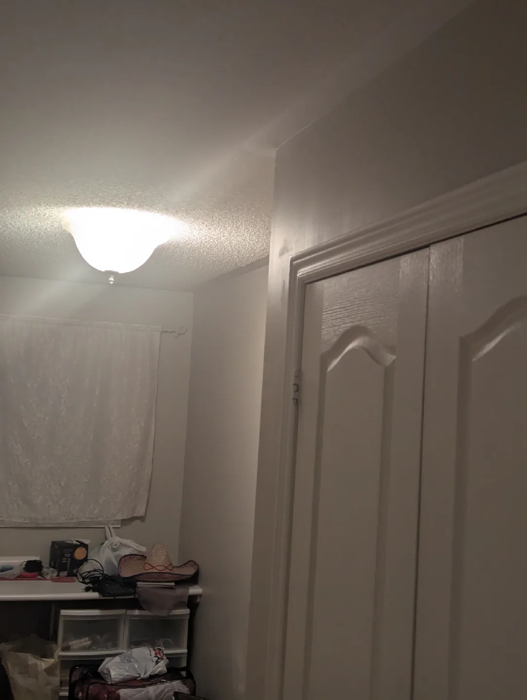 Ceiling Light Fixture image indicator(5)