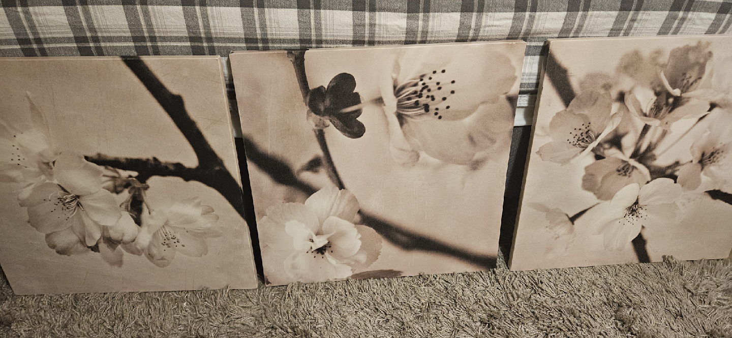 Floral Canvas Wall Art - Set of 3