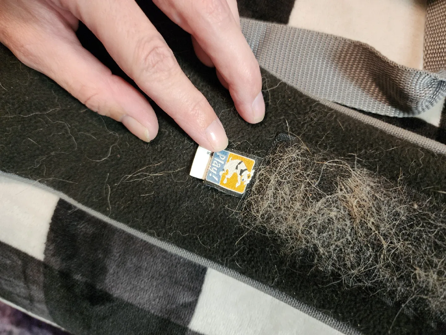 Kurgo up and about dog lifter image indicator(4)