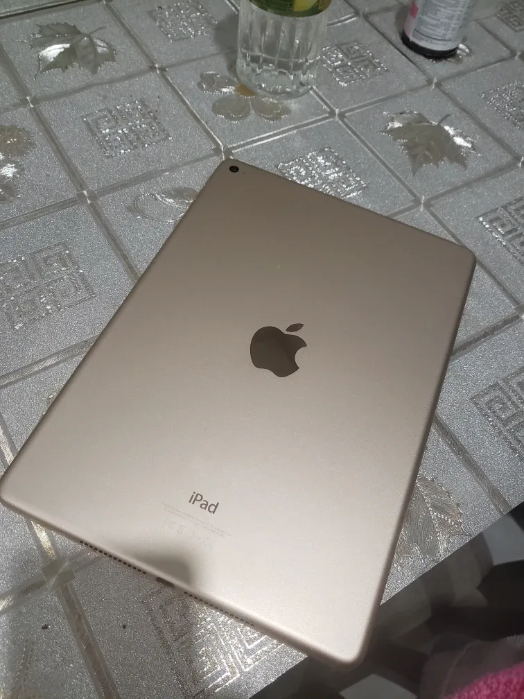 Apple iPad air2 cellular image indicator(4)