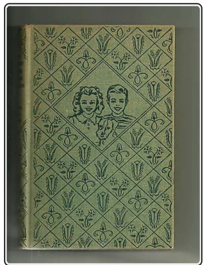 The Bobbsey Twins at the Seashore by Laura Lee Hope
