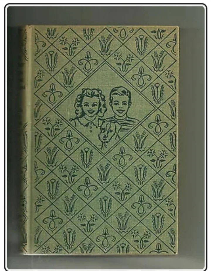 The Bobbsey Twins at the Seashore by Laura Lee Hope thumbnail