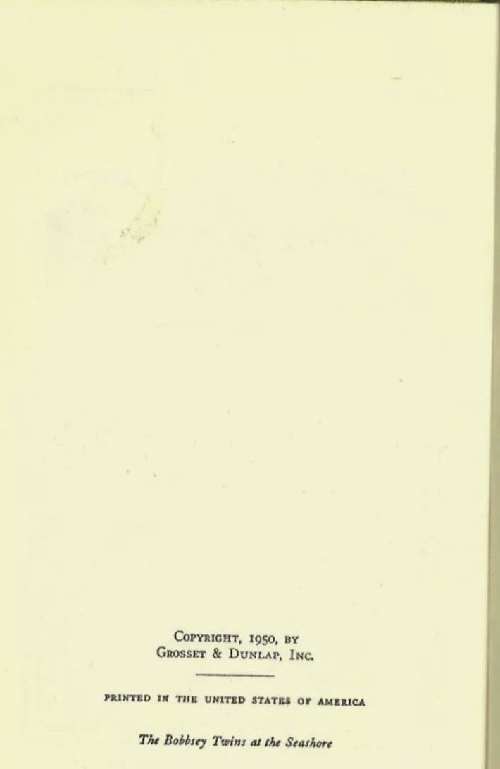 The Bobbsey Twins at the Seashore by Laura Lee Hope - photo 4