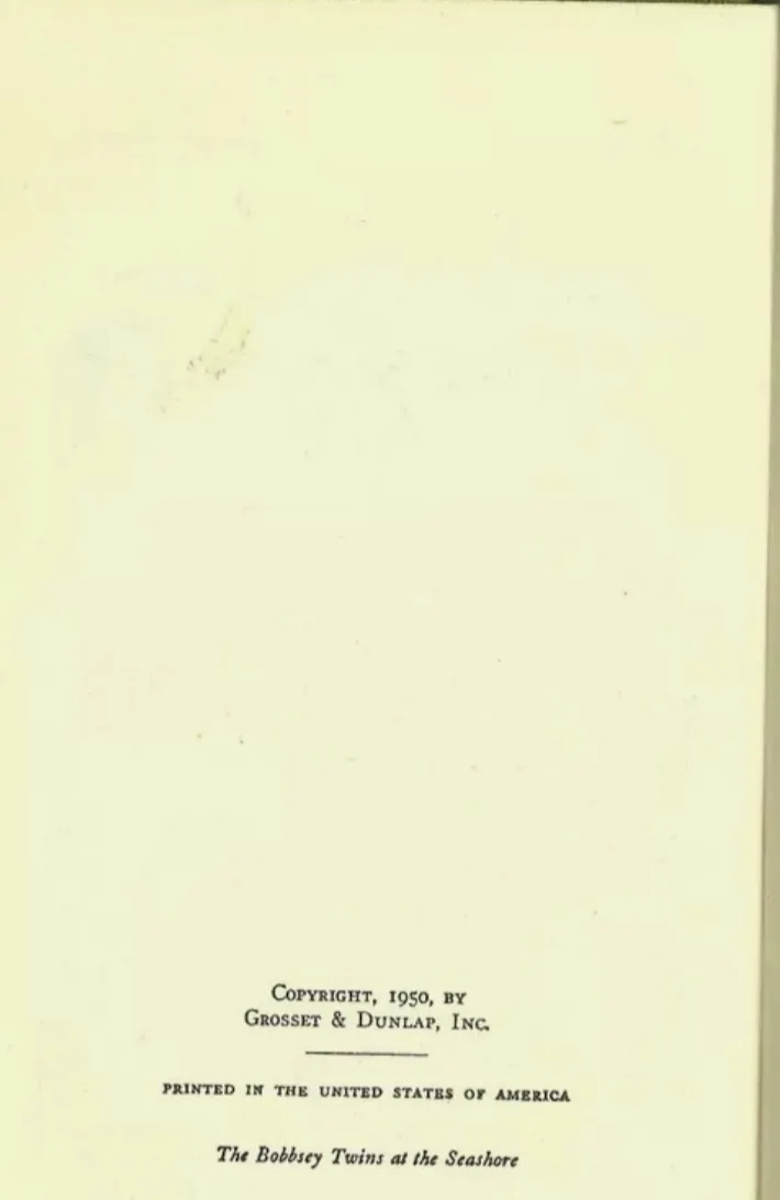 The Bobbsey Twins at the Seashore by Laura Lee Hope image indicator(4)