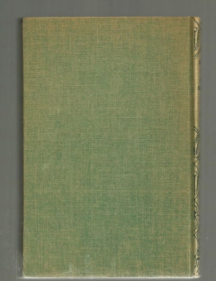 The Bobbsey Twins at the Seashore by Laura Lee Hope - photo 5