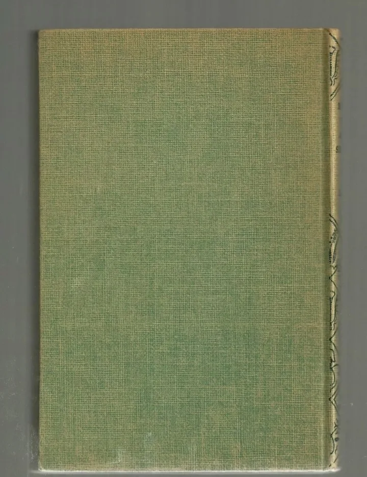 The Bobbsey Twins at the Seashore by Laura Lee Hope image indicator(5)