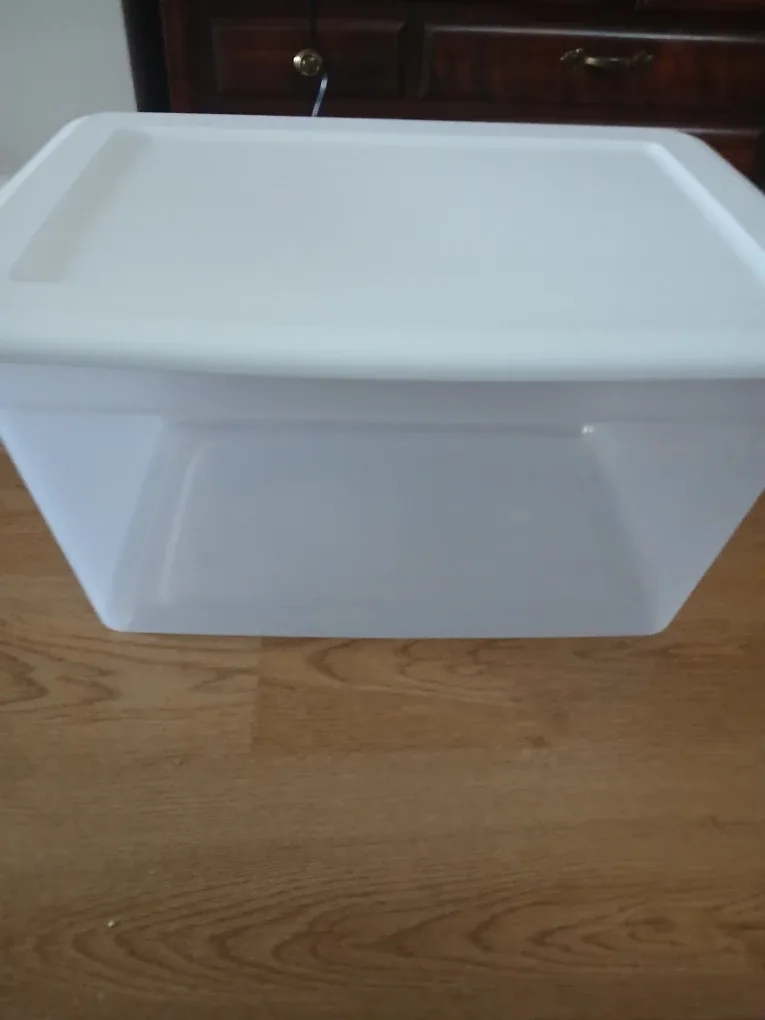 Clear Storage Bin with lid