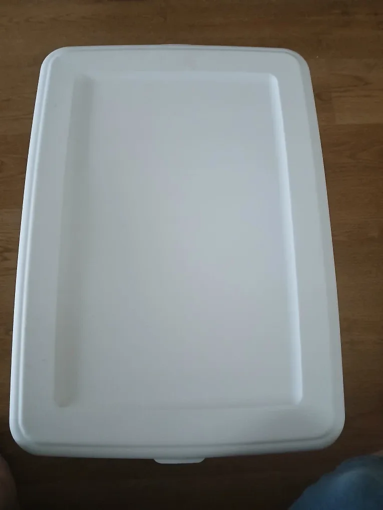 Clear Storage Bin with lid image indicator(2)