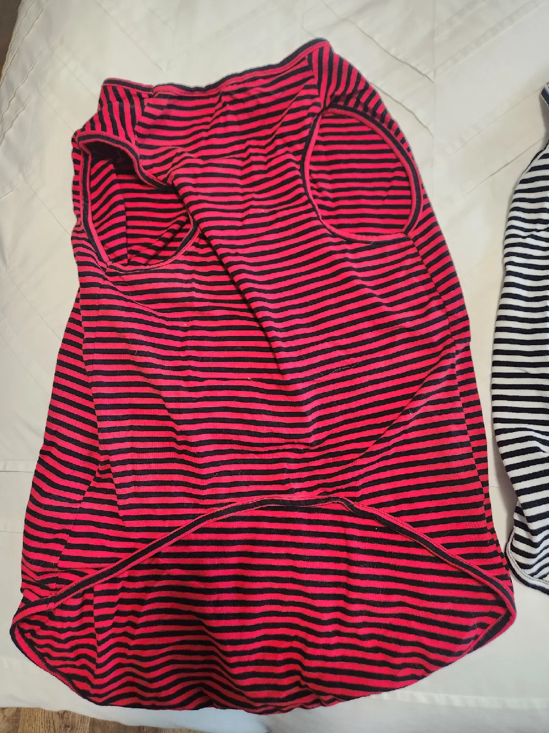 FREE - LEVI BASIC Dog Shirt - Striped image indicator(5)
