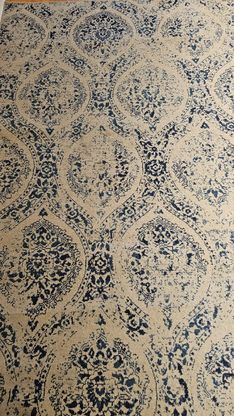Patterned Area Rug image indicator(4)