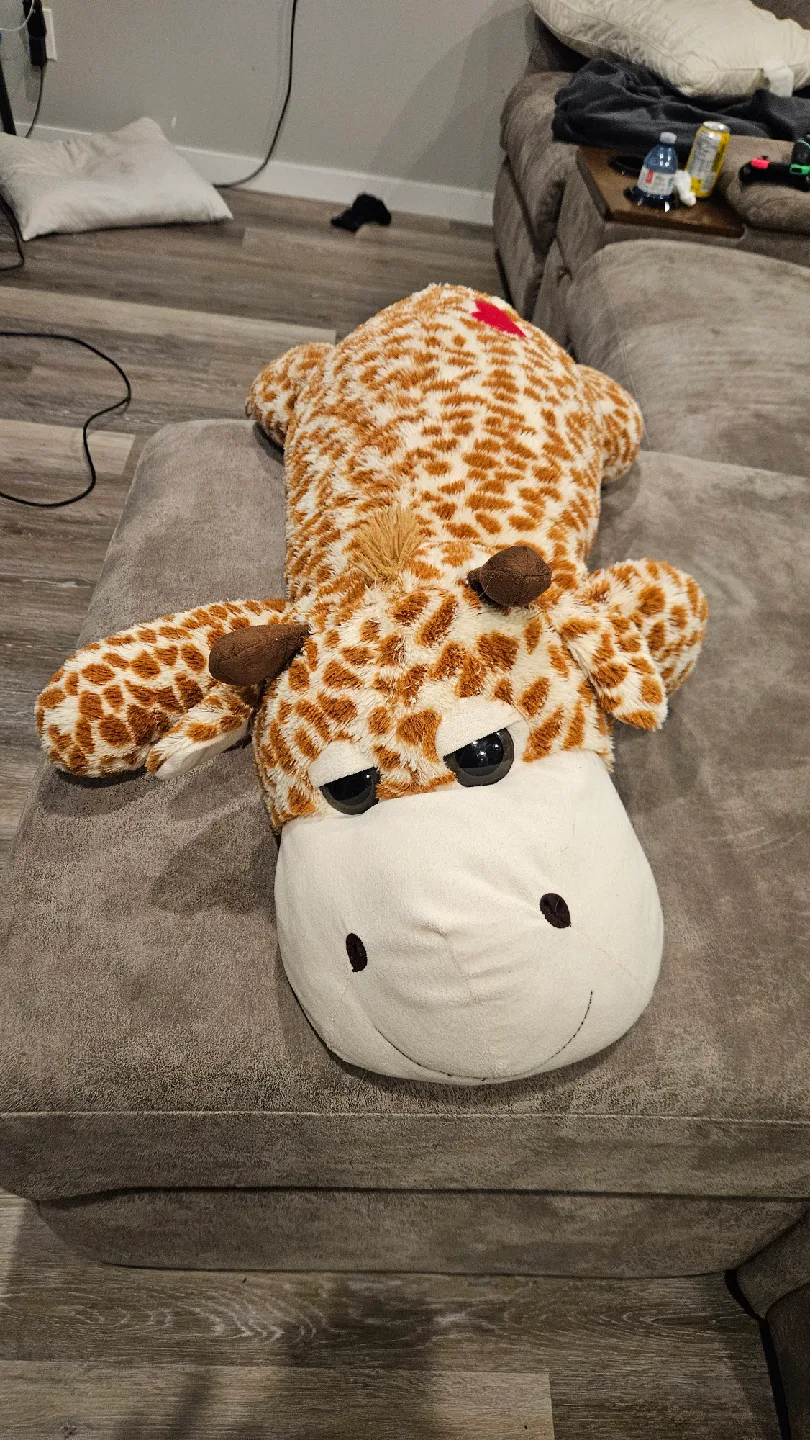 Plush Giraffe and Green Dragon image indicator(2)