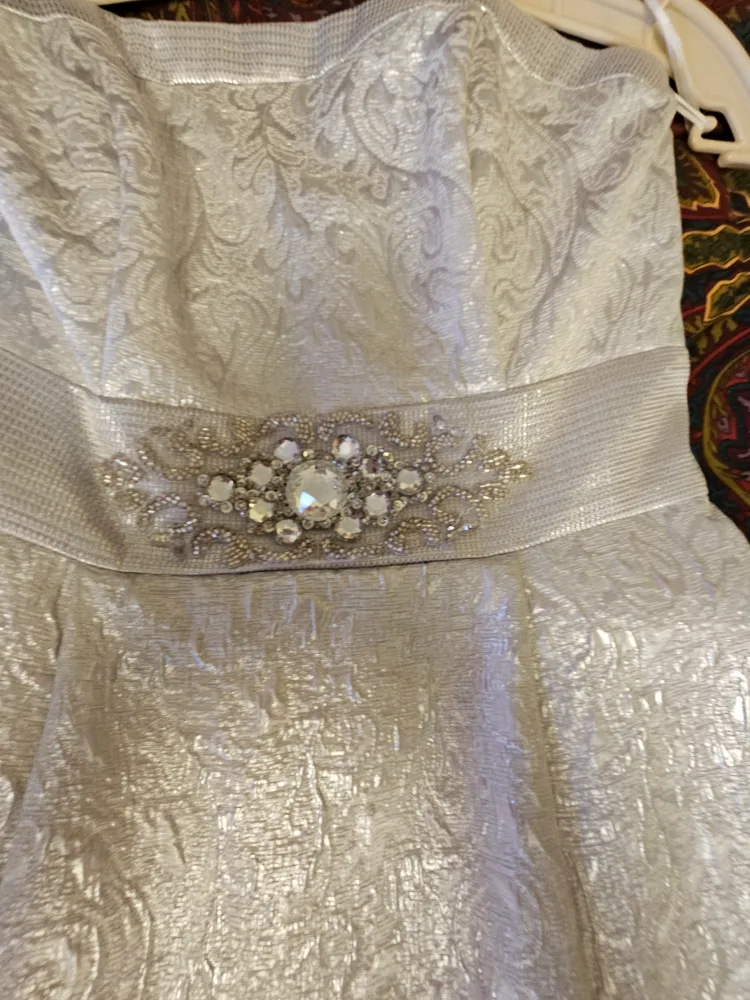 Strapless Silver Wedding Dress image indicator(6)