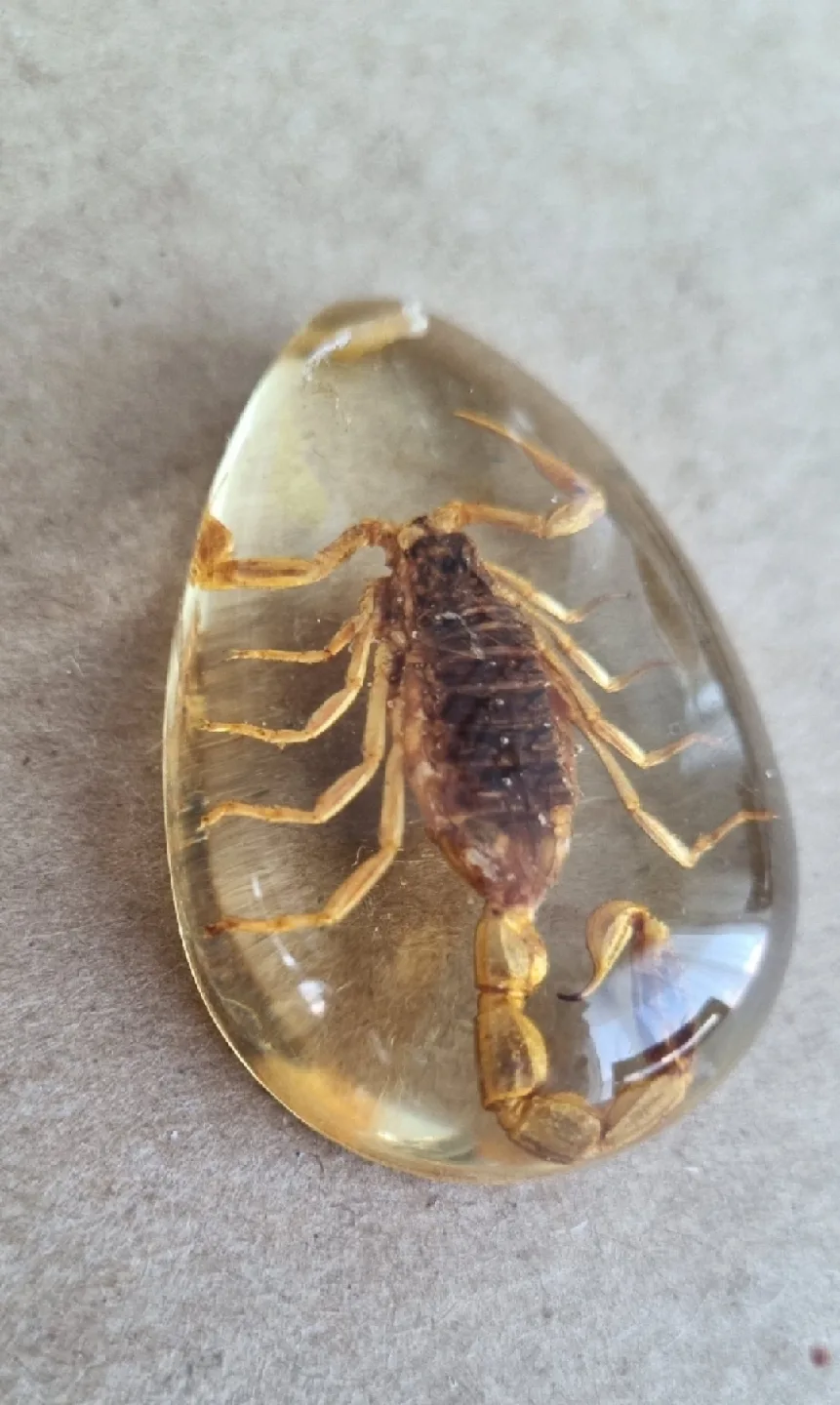 Scorpion in Resin Pendant thumbnail