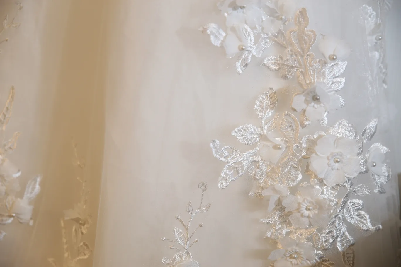 Wedding Dress - Ivory, Beaded & Lace image indicator(3)