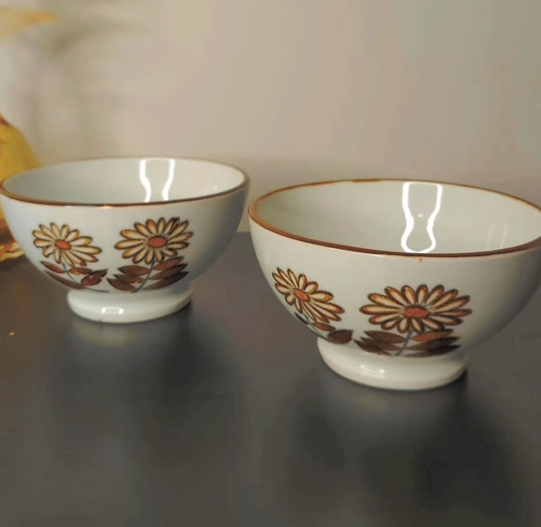 Vintage 1970's Porcelain Bowls - Set of 2
