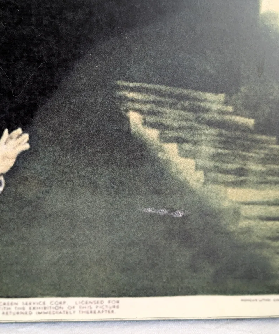 Vintage Dracula Movie Poster Plaque image indicator(7)