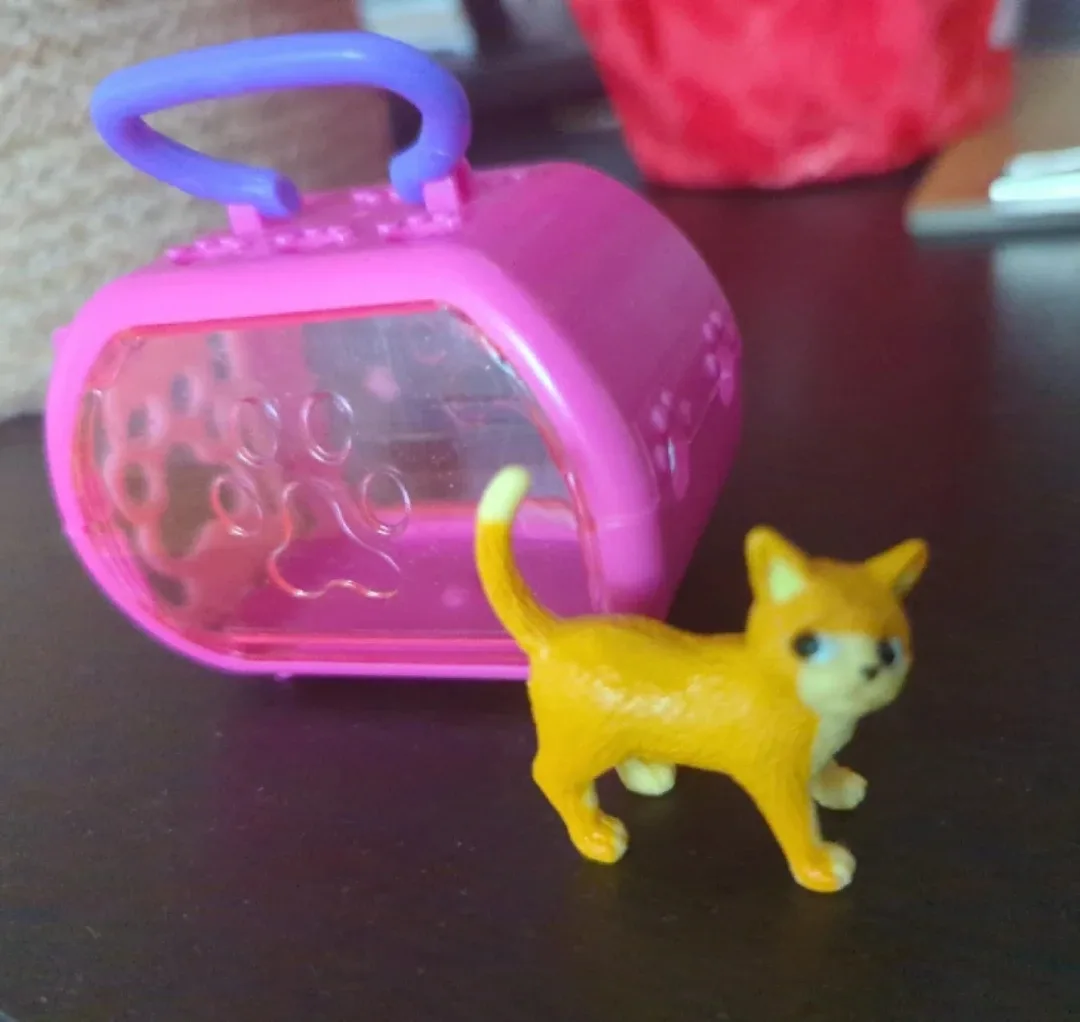 kitten with carrier image indicator(2)