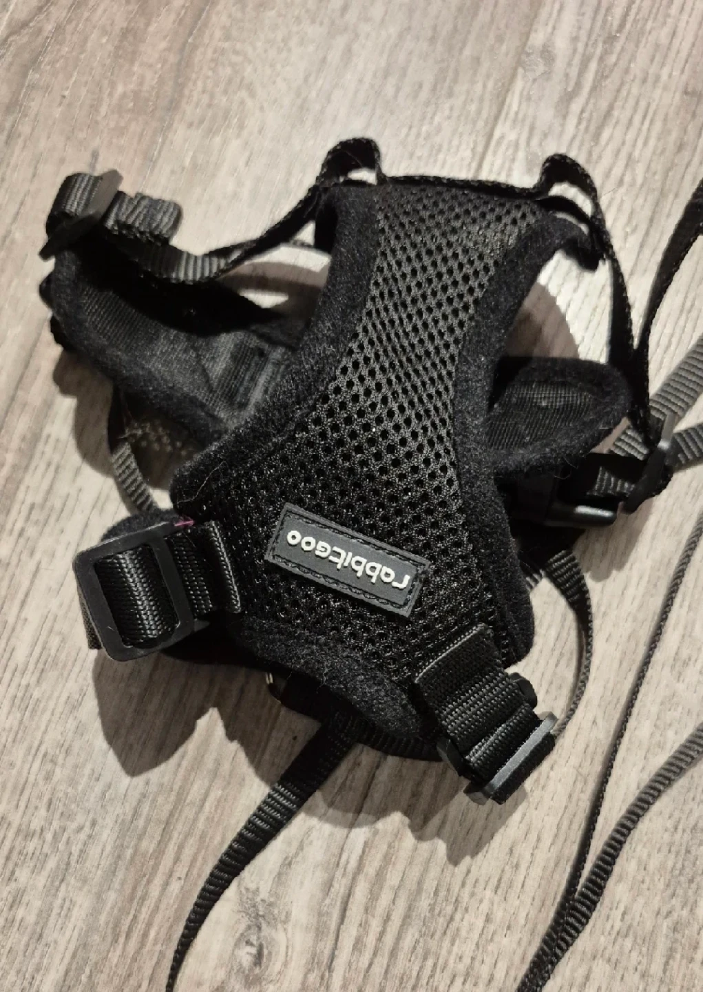 Leash