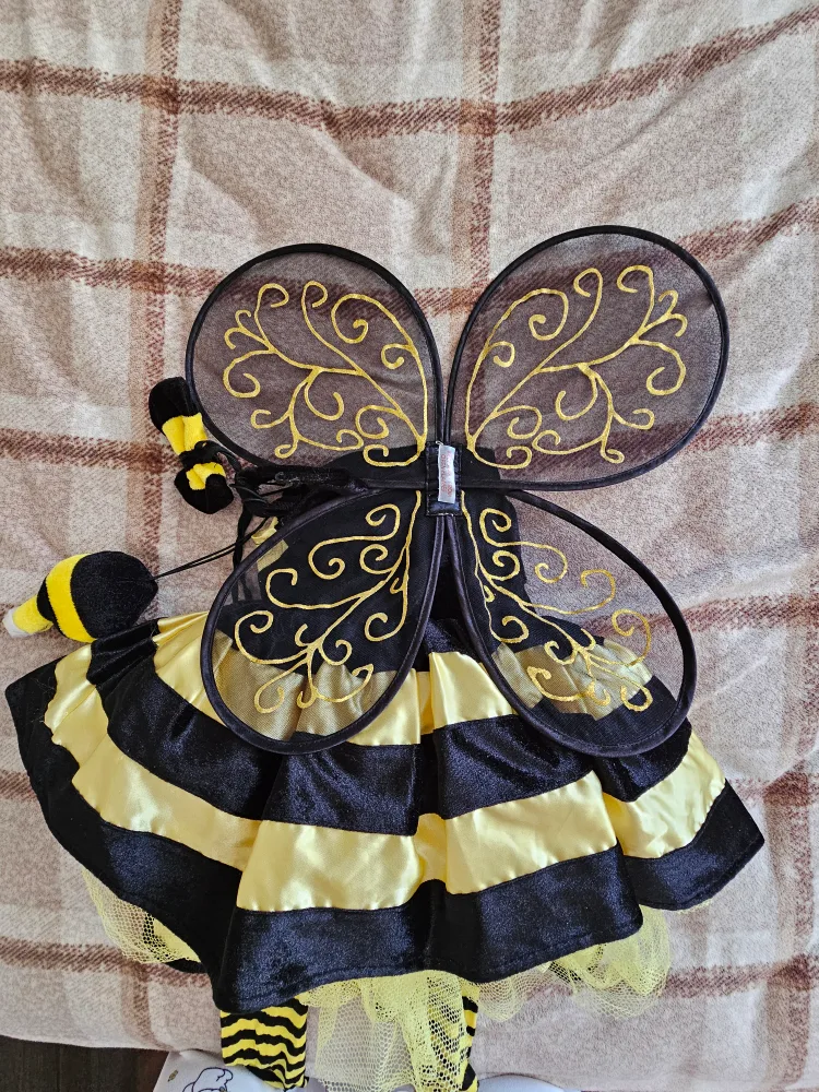 Bumble Bee Costume - Size 3T image indicator(4)