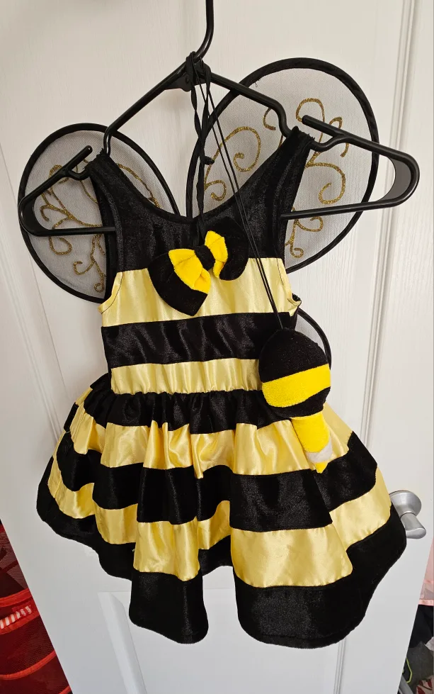 Bumble Bee Costume - Size 3T image indicator(5)