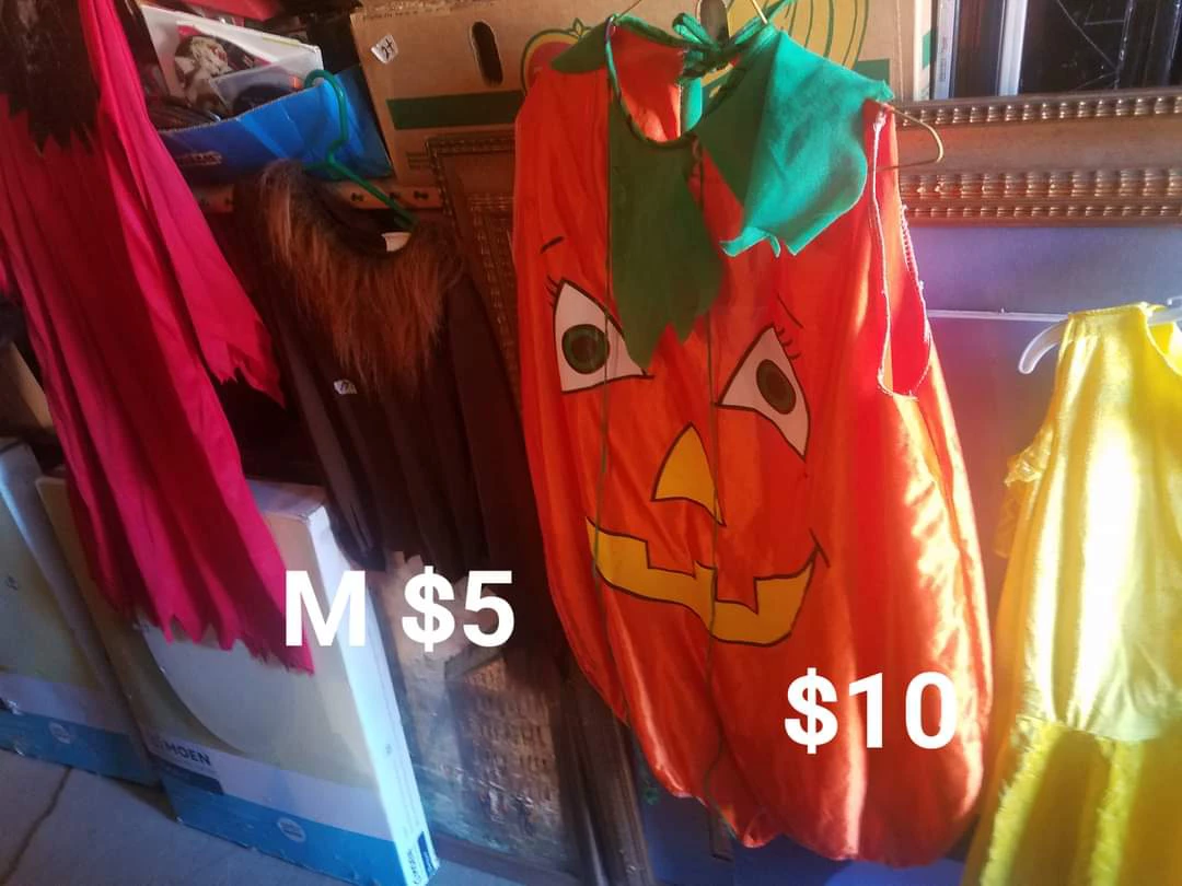 Halloween costumes - photo 3