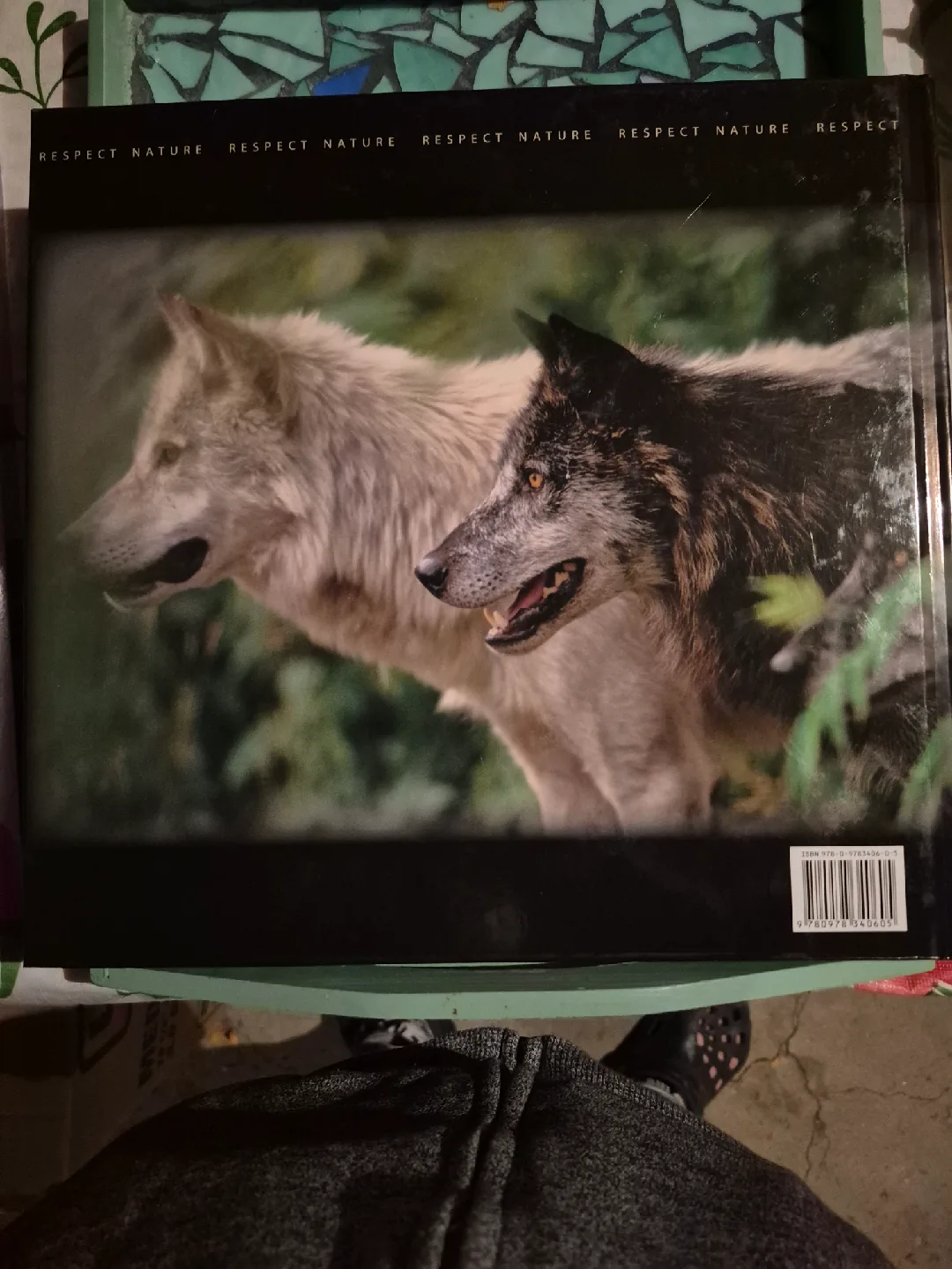 All in the Wild by Jason Leo Bantle image indicator(2)