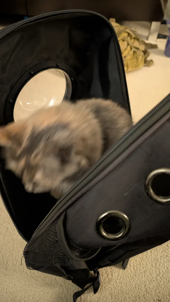 Pet Carrier Backpack - Space Capsule Design image indicator(9)