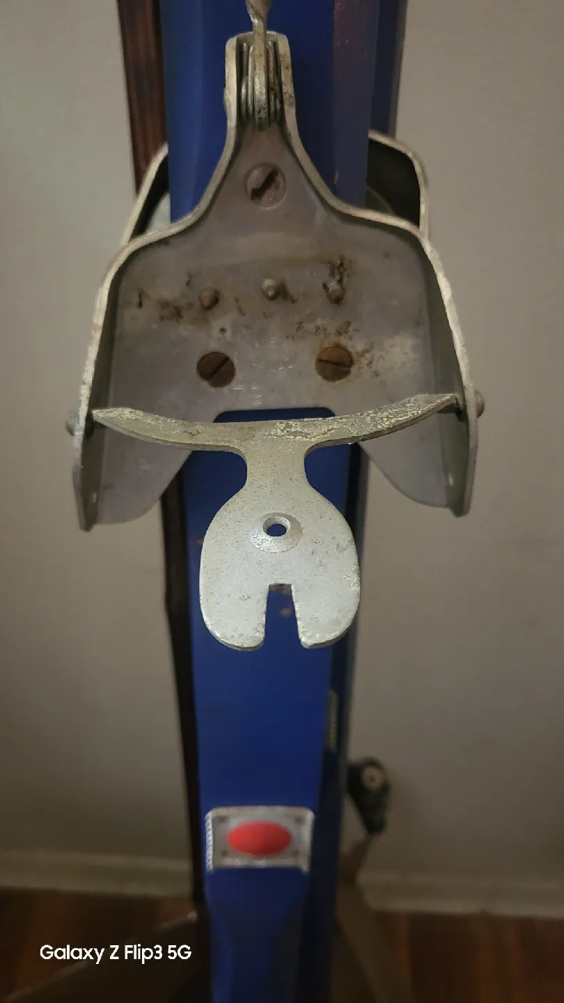 🥕Swedish Cross County ski by Latu image indicator(4)