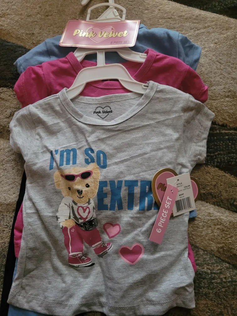 New 2T Pink Velvet 6-Piece Set, Mauve/Dusty Blue thumbnail