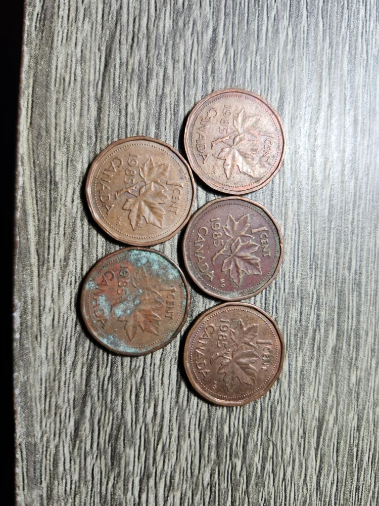 Lot of 5 1985 pennies; blunt 5