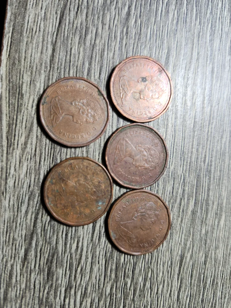Lot of 5 1985 pennies; blunt 5 image indicator(2)