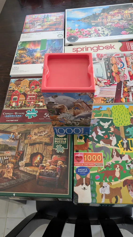 Assorted 1000 Piece Puzzles