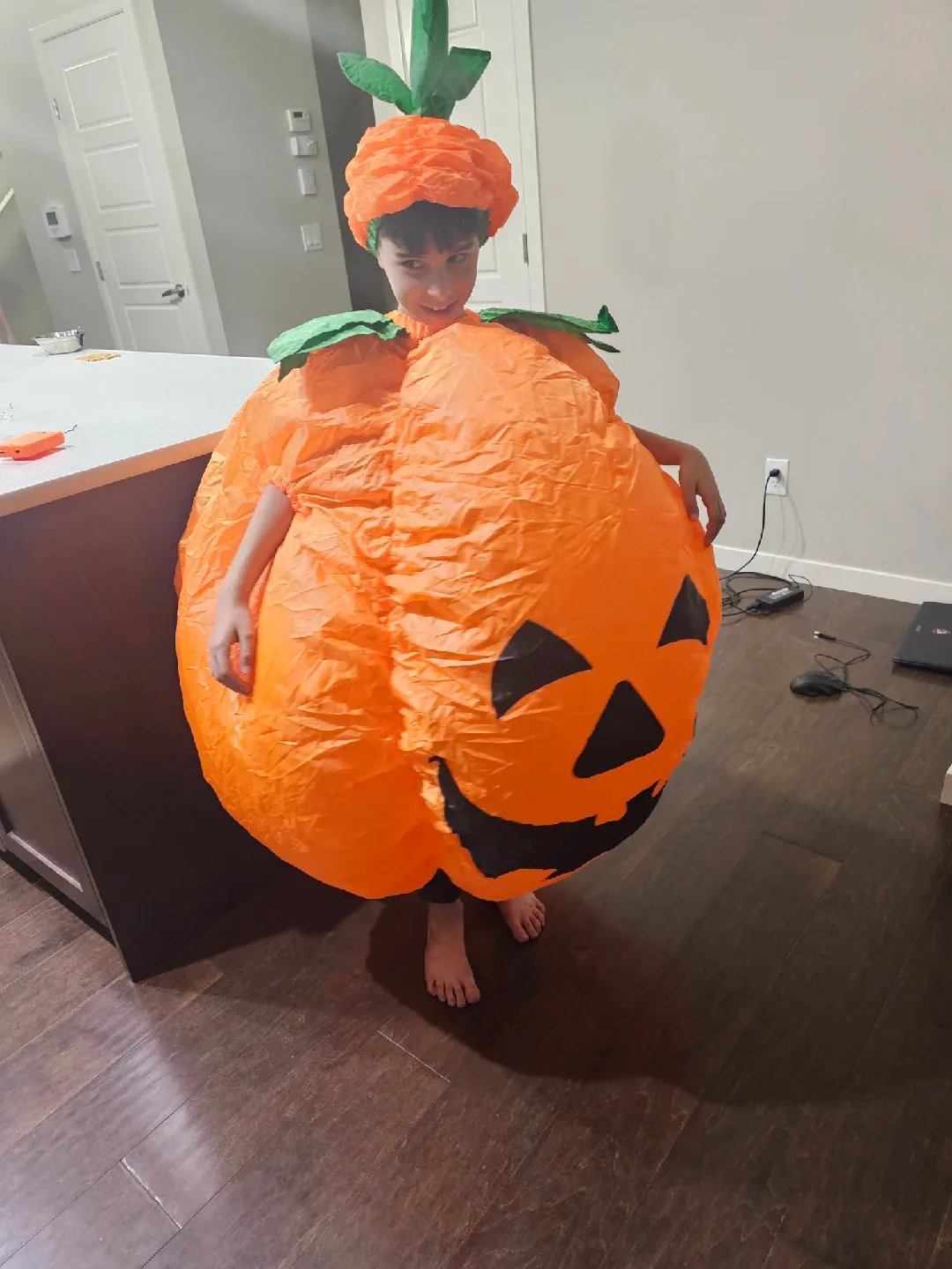 Inflatable Halloween Costume (New never used, Each $25) image indicator(8)