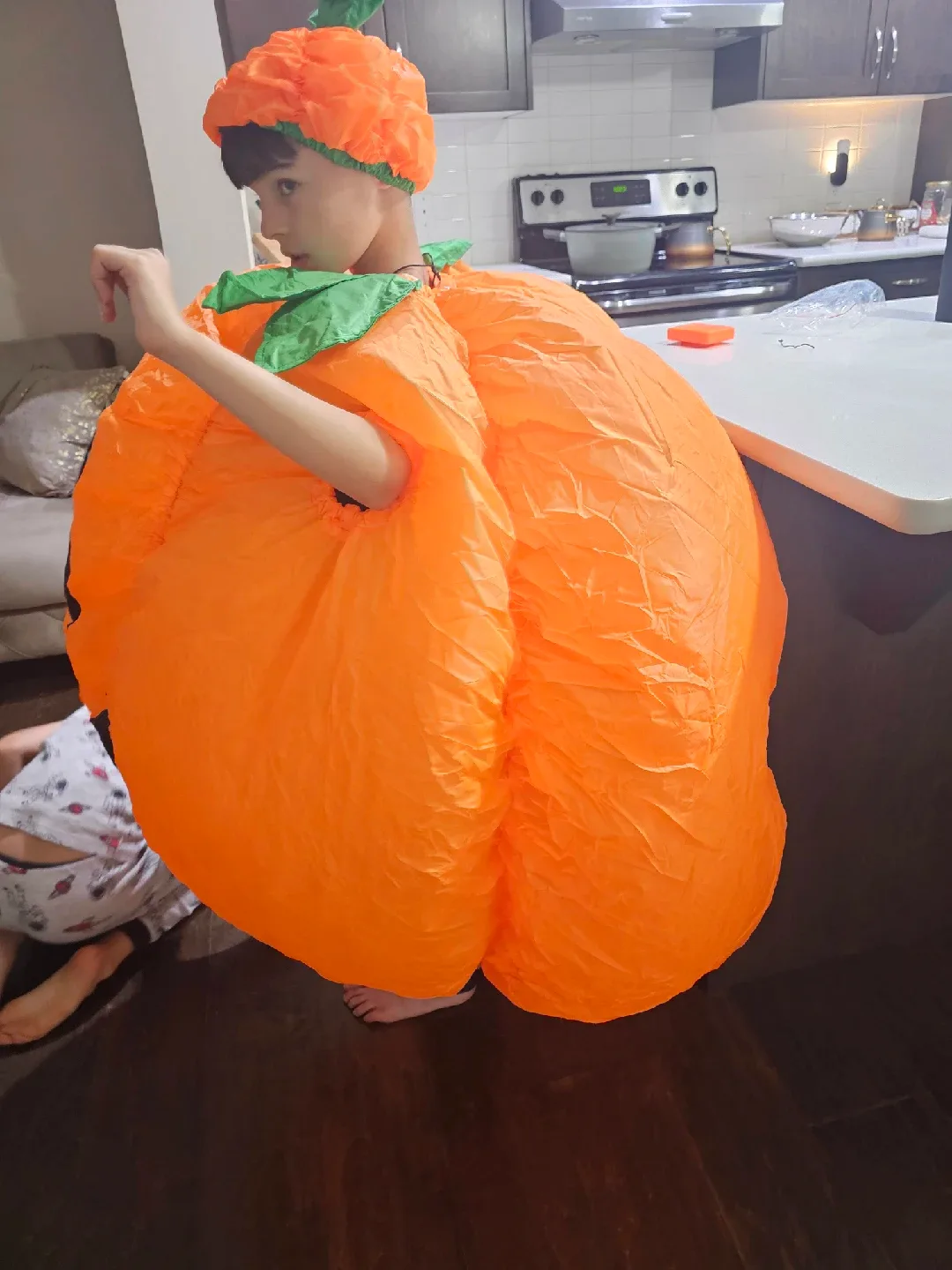 Inflatable Halloween Costume (New never used, Each $25) image indicator(9)