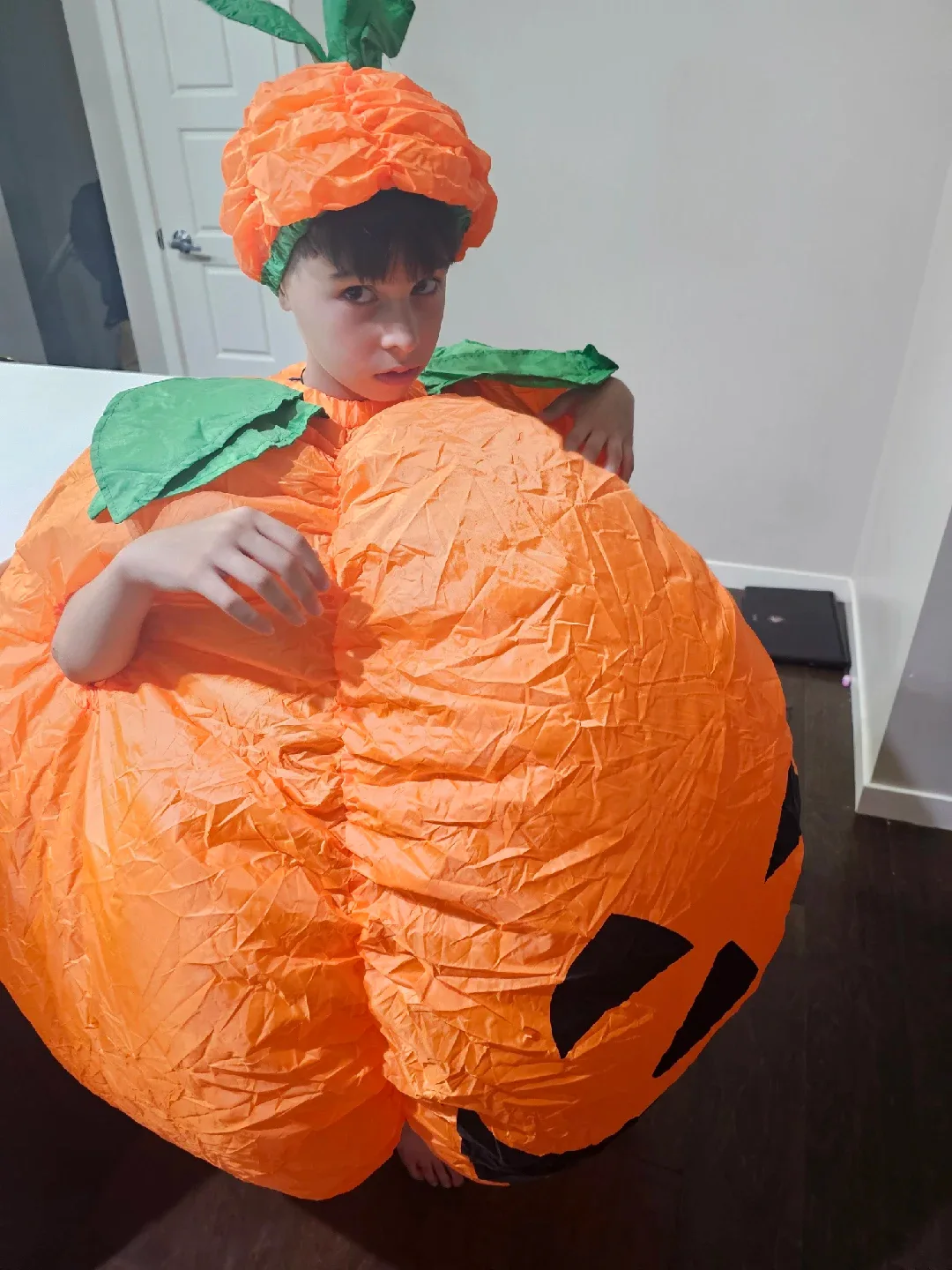 Inflatable Halloween Costume (New never used, Each $25) image indicator(10)