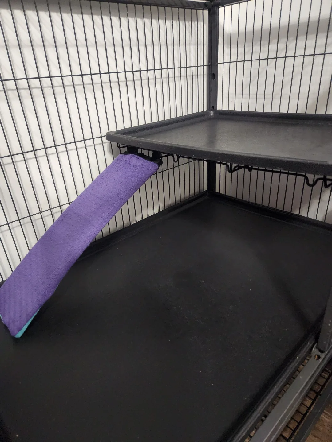 Ferret Nation Model 181 Cage image indicator(4)