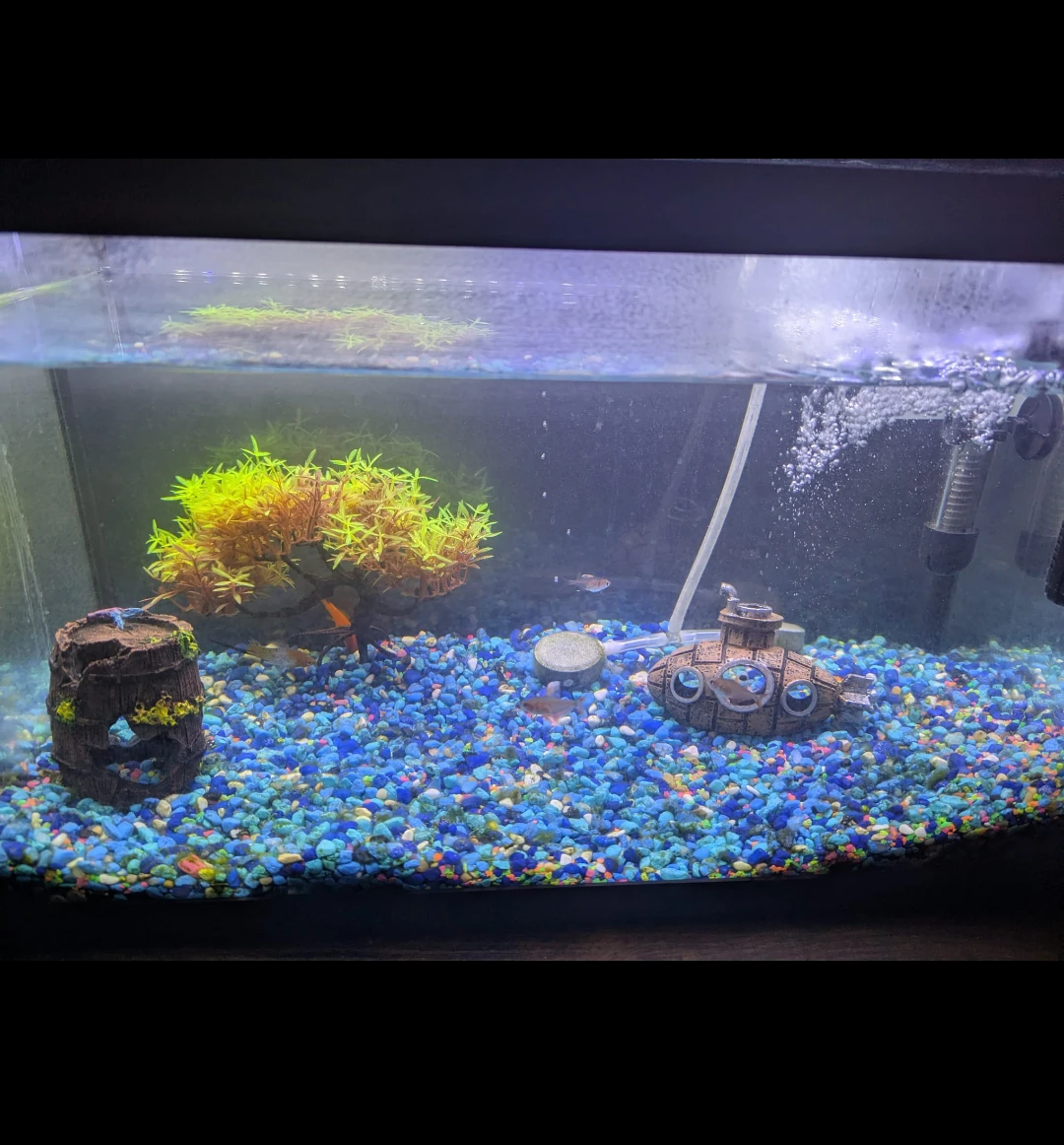 Aquarium with decorations and gravel