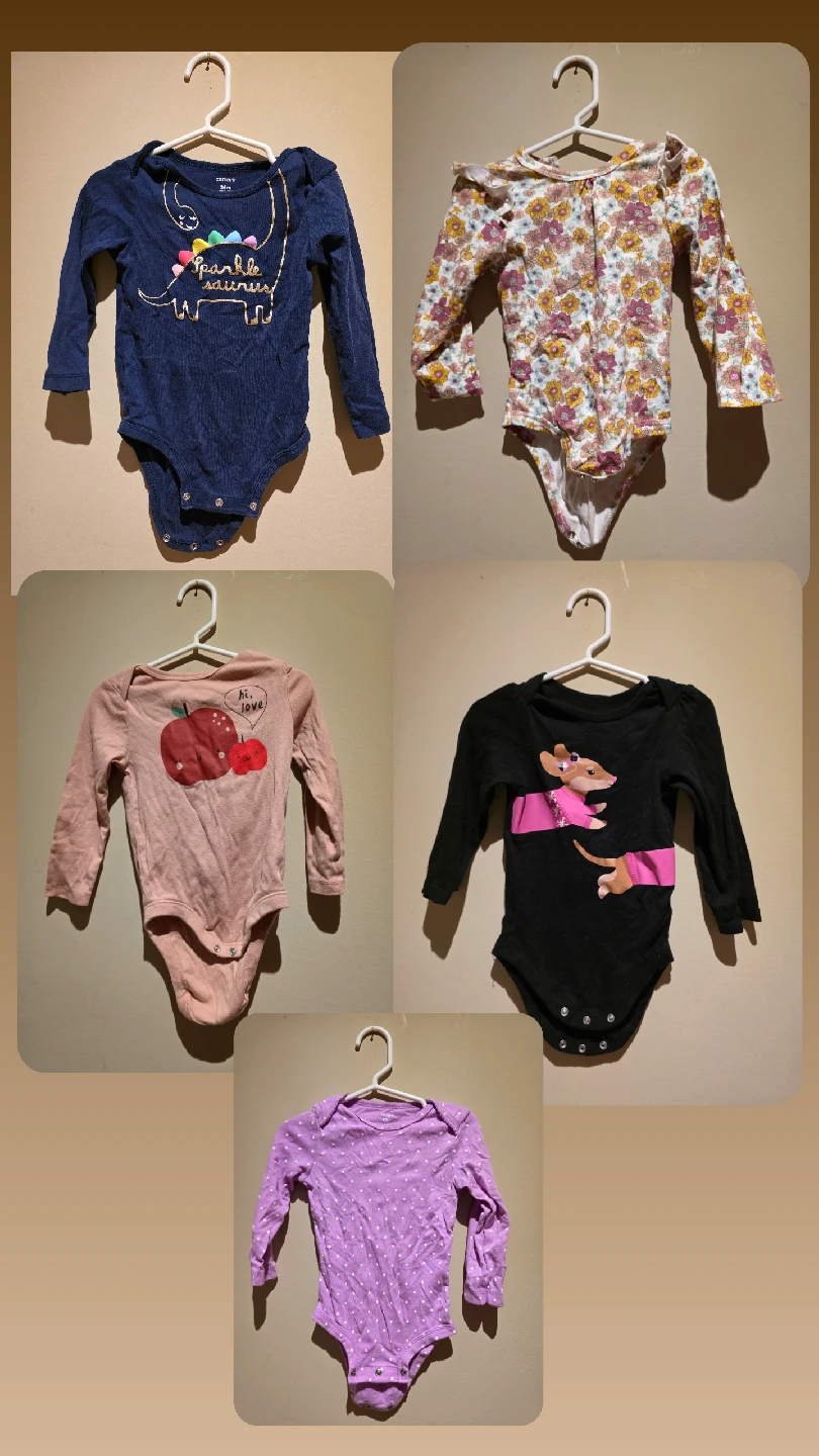 5 Baby Bodysuits for $5 - Carter's, Floral, Apple, Dinosaur