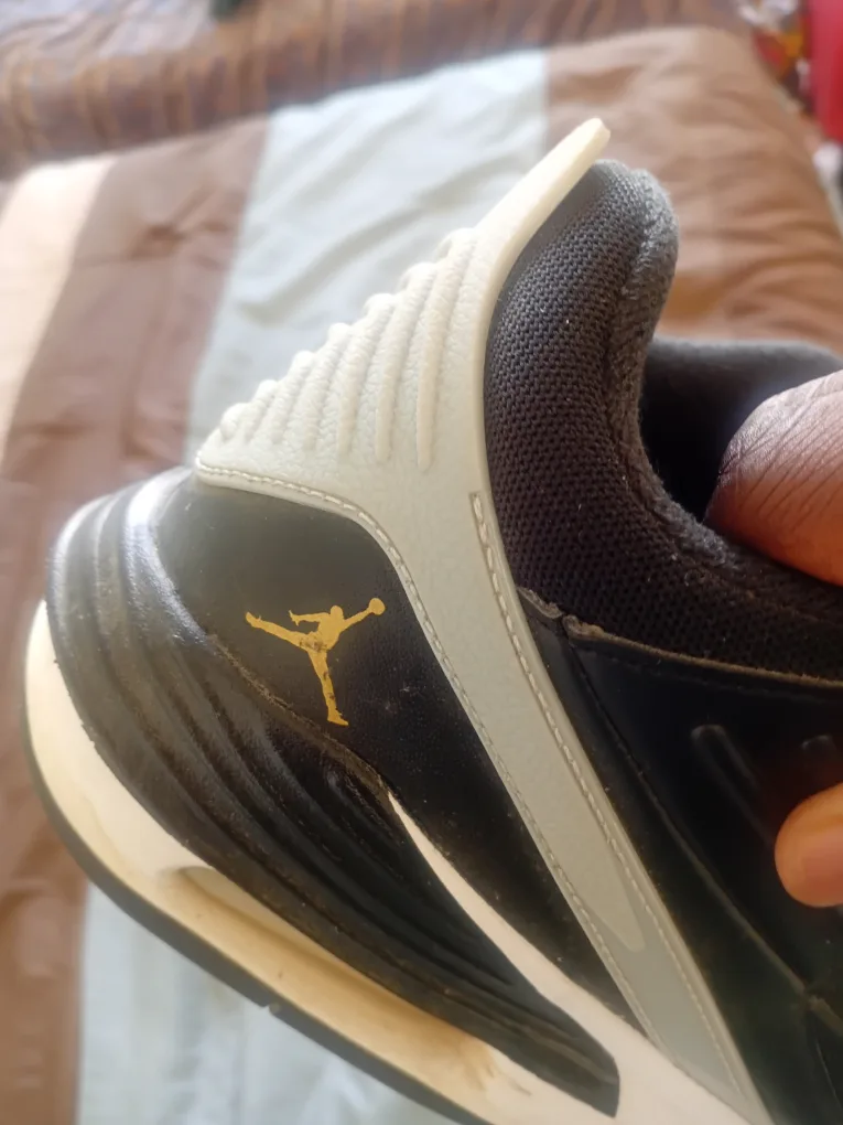 Jordan Low Top Sneakers image indicator(4)