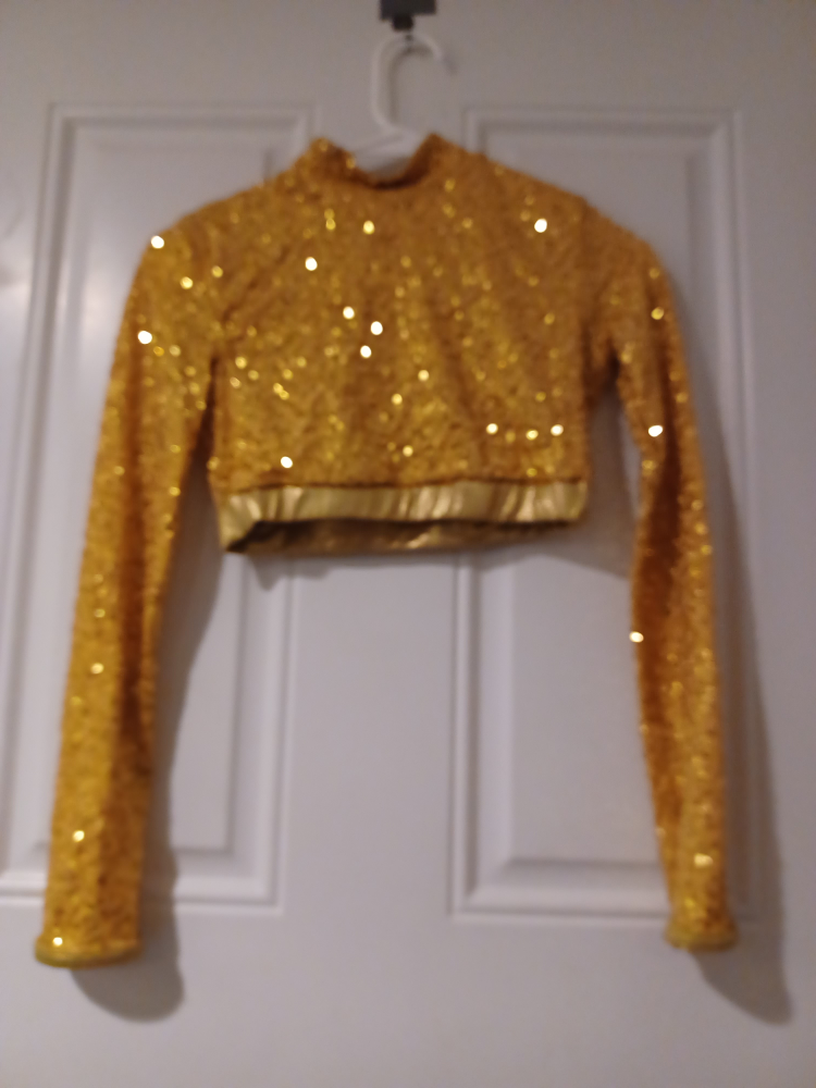 Gold Sequin Crop Top