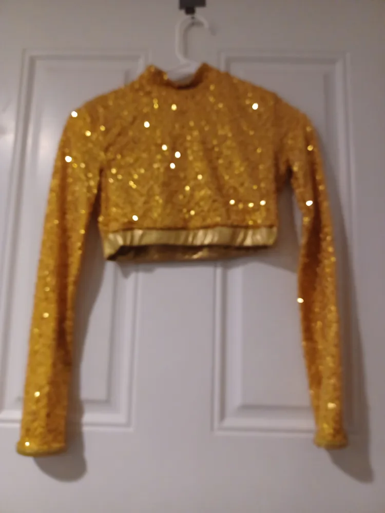 Gold Sequin Crop Top thumbnail