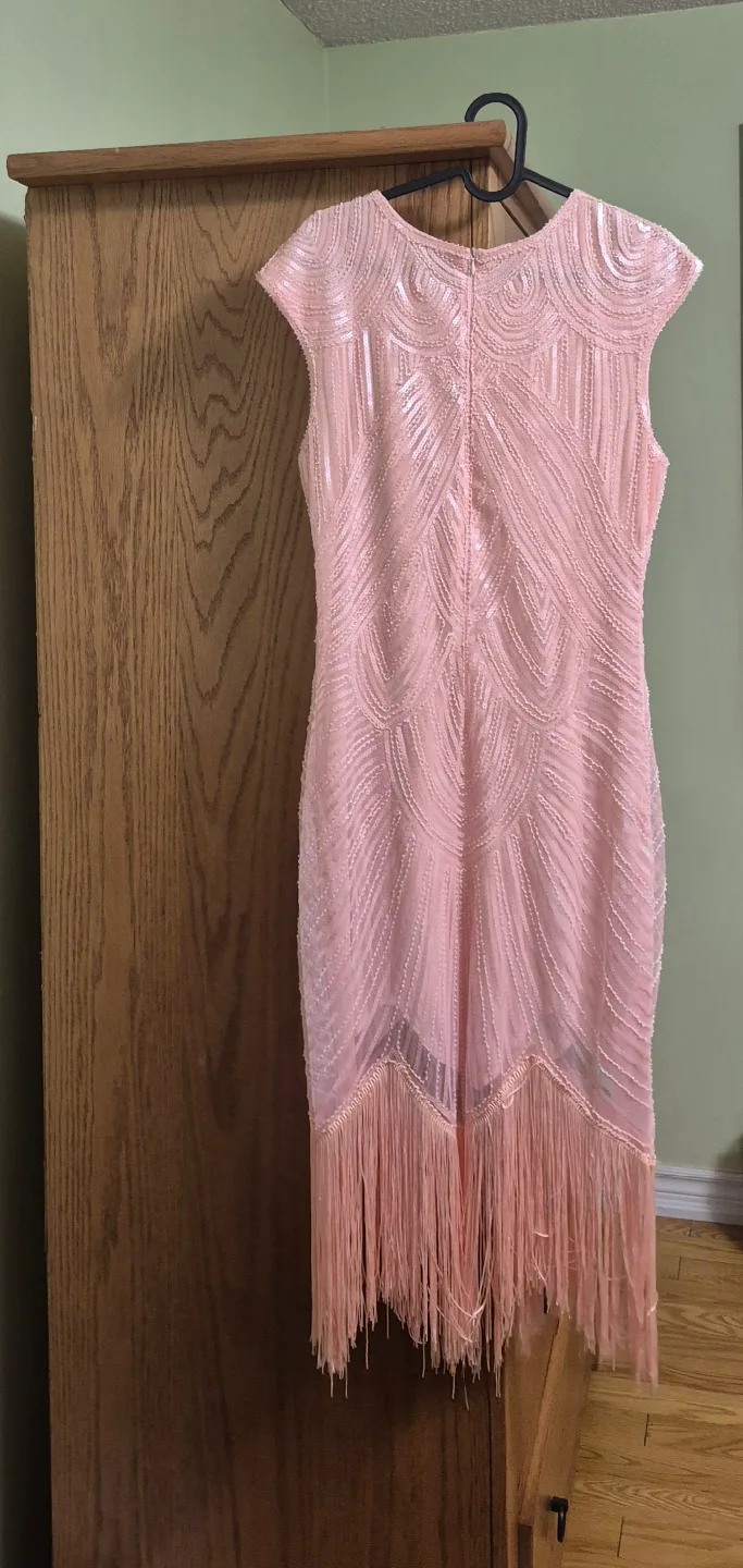 Pink Sequin Fringe Dress image indicator(2)