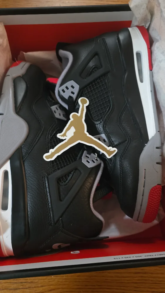 Nike Air Jordan 4 Retro Bred Reimagined 7y image indicator(6)