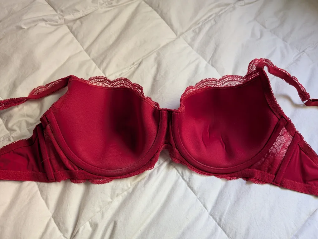 NWT Red Lace Bra 36DD image indicator(6)