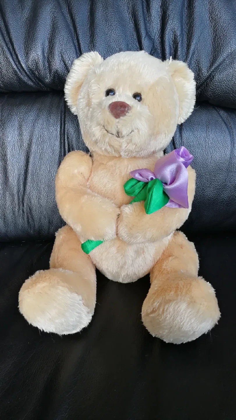 Assorted Plush Toys $3-10 each image indicator(7)