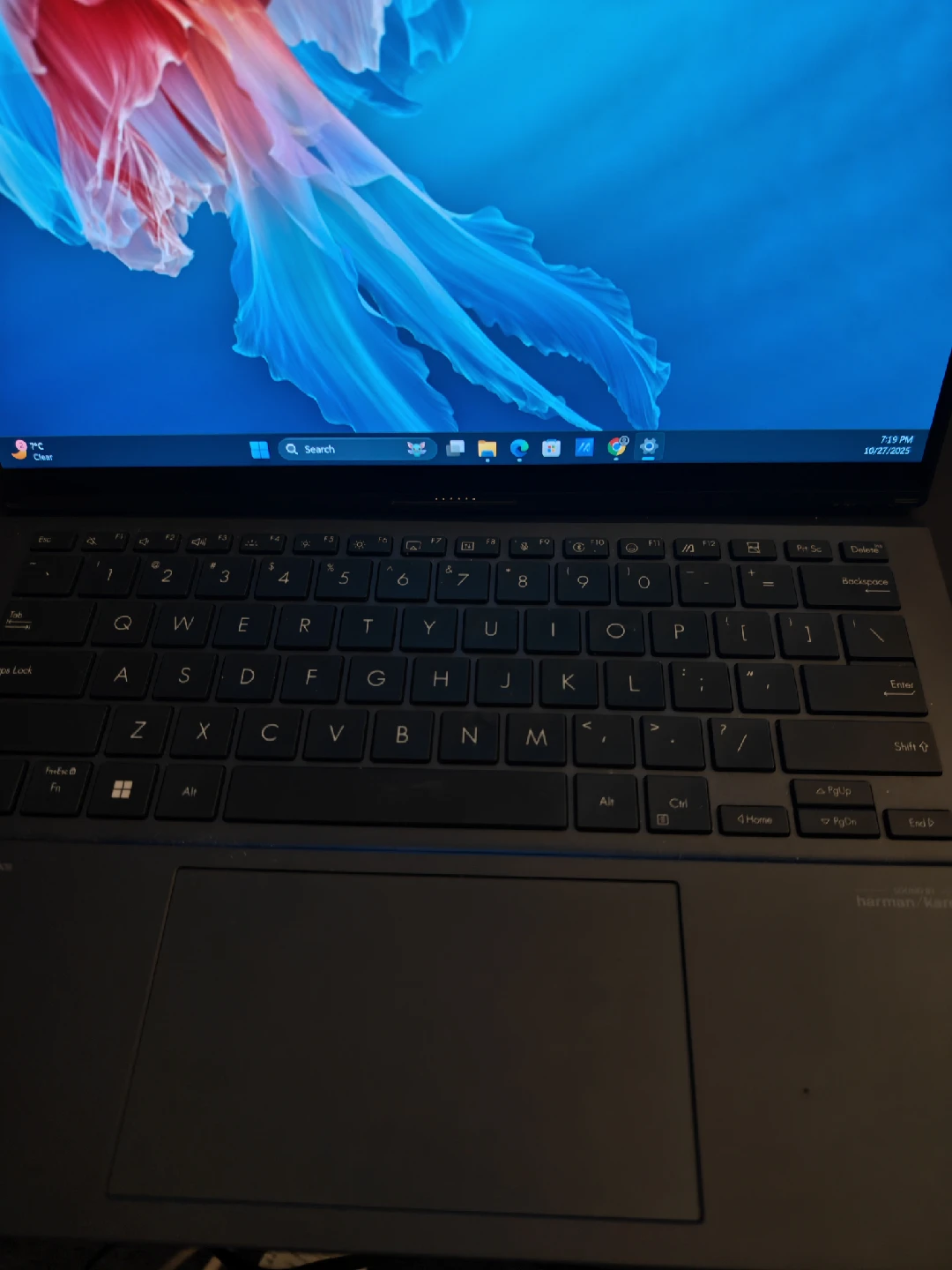 ASUS zenbook 14" intel core ultra 7 3.80GHZ 16GB RAM - photo 2