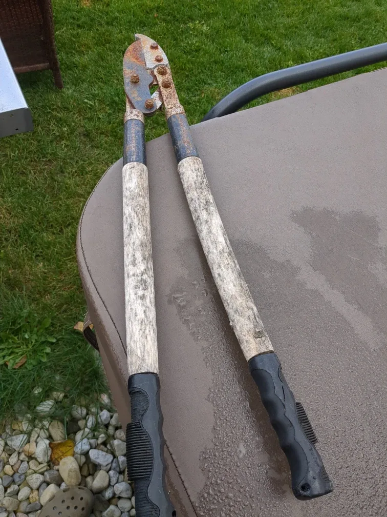 large tree limb trimmer