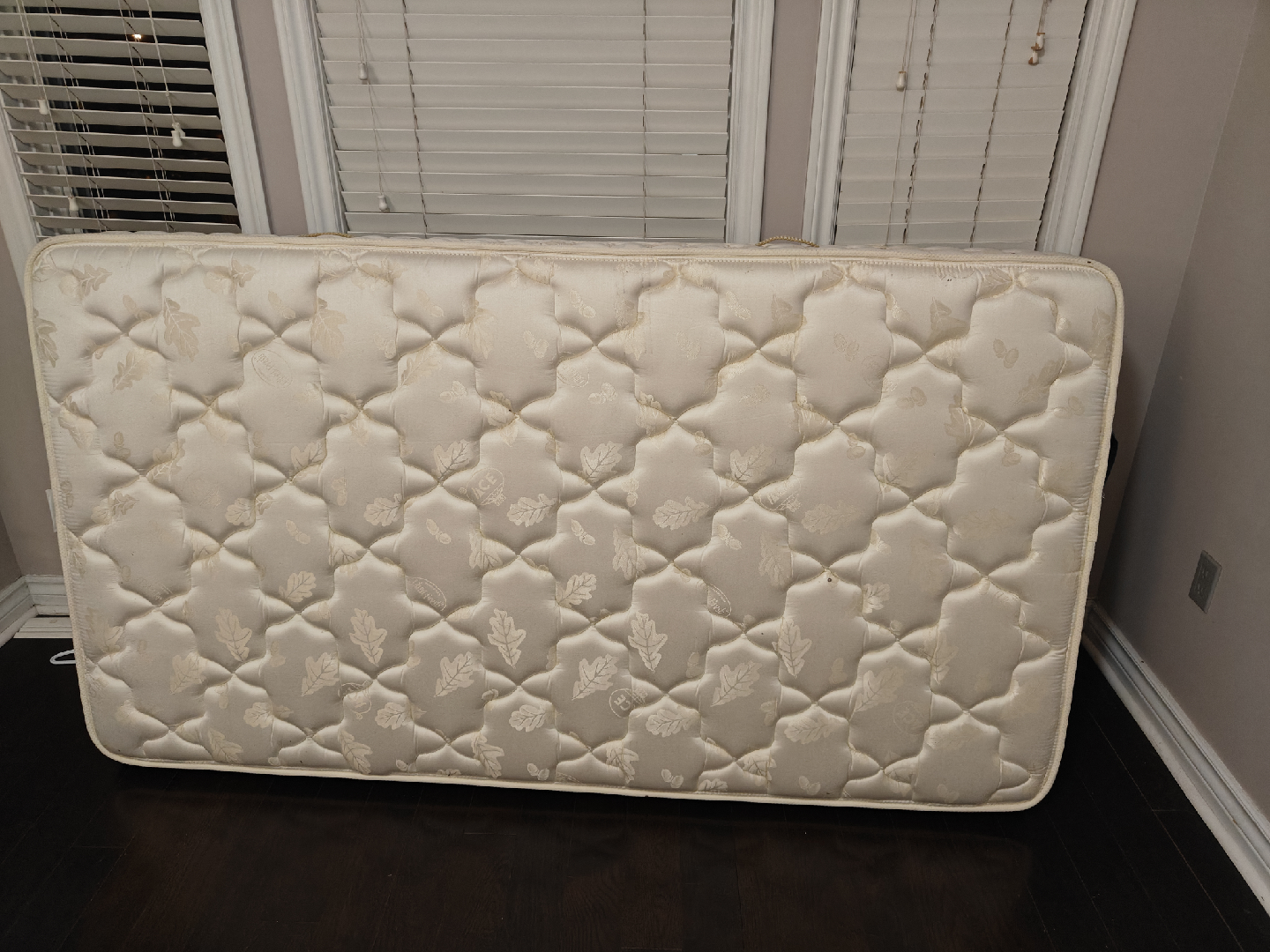 Premium Ace Bed Twin Mattress for Sale - Quick Move! - photo 5