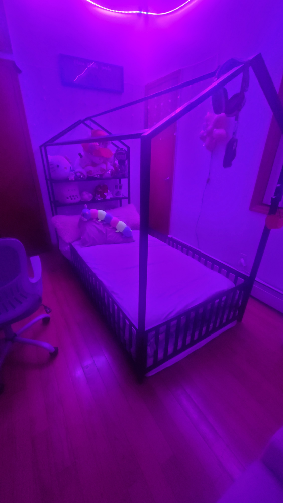 Cama